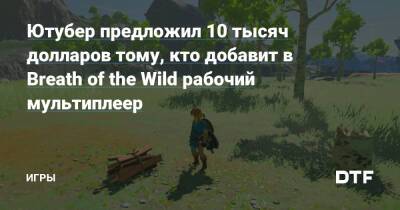 Ютубер предложил 10 тысяч долларов тому, кто добавит в Breath of the Wild рабочий мультиплеер — Игры на DTF - dtf.ru