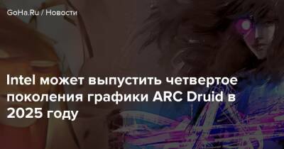 Intel может выпустить четвертое поколение графики ARC Druid в 2025 году - goha.ru