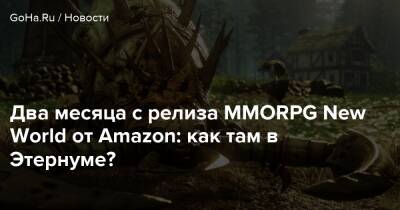 Два месяца с релиза MMORPG New World от Amazon: как там в Этернуме? - goha.ru