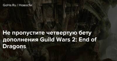 Не пропустите четвертую бету дополнения Guild Wars 2: End of Dragons - goha.ru