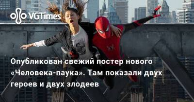 Питер Паркер - Опубликован свежий постер нового «Человека-паука». Там показали двух героев и двух злодеев - vgtimes.ru - Сша - Россия - Англия - Индия