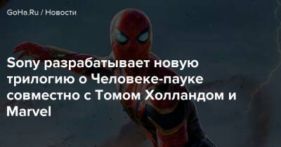 Томас Холланд - Эми Паскал - Sony разрабатывает новую трилогию о Человеке-пауке совместно с Томом Холландом и Marvel - goha.ru
