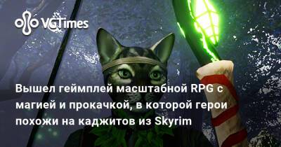 Вышел геймплей масштабной RPG с магией и прокачкой, в которой герои похожи на каджитов из Skyrim - vgtimes.ru