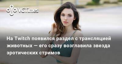 На Twitch появился раздел с трансляцией животных — его сразу возглавила звезда эротических стримов - vgtimes.ru