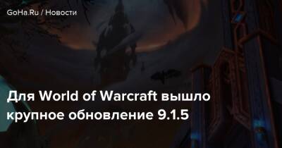 Для World of Warcraft вышло крупное обновление 9.1.5 - goha.ru