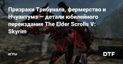 Призраки Трибунала, фермерство и Нчуантумз — детали юбилейного переиздания The Elder Scrolls V: Skyrim — Игры на DTF - dtf.ru