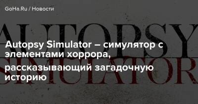 Autopsy Simulator – симулятор с элементами хоррора, рассказывающий загадочную историю - goha.ru