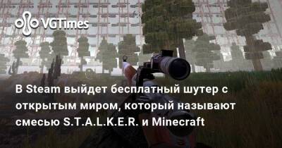 В Steam выйдет бесплатный шутер с открытым миром, который называют смесью S.T.A.L.K.E.R. и Minecraft - vgtimes.ru