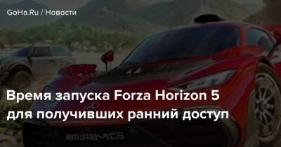 Время запуска Forza Horizon 5 для получивших ранний доступ - goha.ru - Новая Зеландия