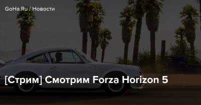 [Стрим] Смотрим Forza Horizon 5 - goha.ru - Мексика