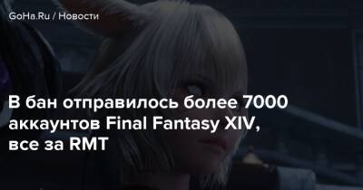 В бан отправилось более 7000 аккаунтов Final Fantasy XIV, все за RMT - goha.ru