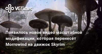 Появилось новое видео масштабной модификации, которая перенесёт Morrowind на движок Skyrim - vgtimes.ru