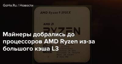 Майнеры добрались до процессоров AMD Ryzen из-за большого кэша L3 - goha.ru