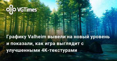 Графику Valheim вывели на новый уровень и показали, как игра выглядит с улучшенными 4K-текстурами - vgtimes.ru