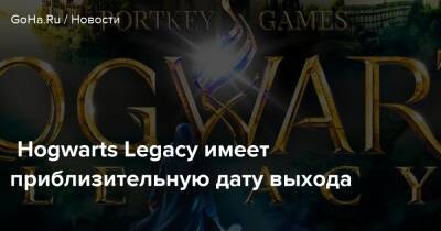 Гарри Поттер - Дэвид Йейтс - Hogwarts Legacy имеет приблизительную дату выхода - goha.ru