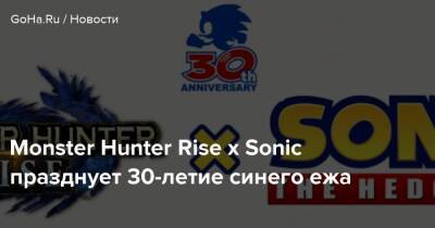 Monster Hunter Rise x Sonic празднует 30-летие синего ежа - goha.ru