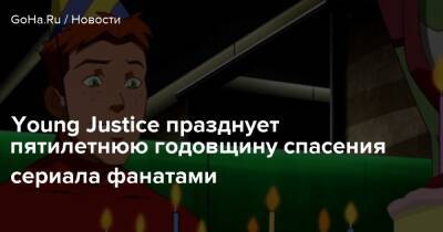 Young Justice празднует пятилетнюю годовщину спасения сериала фанатами - goha.ru