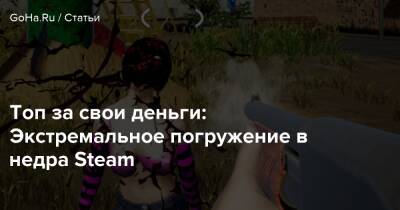 Топ за свои деньги: Экстремальное погружение в недра Steam - goha.ru