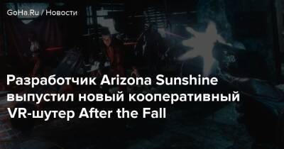 Разработчик Arizona Sunshine выпустил новый кооперативный VR-шутер After the Fall - goha.ru - Лос-Анджелес - state Arizona