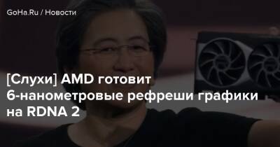 Valkyrie Entertainment - [Слухи] AMD готовит 6-нанометровые рефреши графики на RDNA 2 - goha.ru