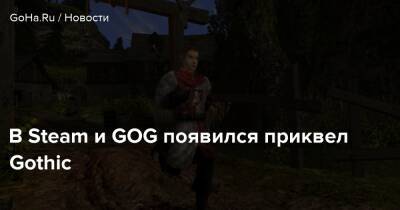 В Steam и GOG появился приквел Gothic - goha.ru