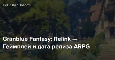 Granblue Fantasy: Relink — Геймплей и дата релиза ARPG - goha.ru