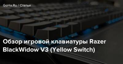 Обзор игровой клавиатуры Razer BlackWidow V3 (Yellow Switch) - goha.ru