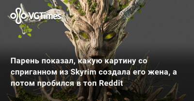 Парень показал, какую картину со сприганном из Skyrim создала его жена, а потом пробился в топ Reddit - vgtimes.ru