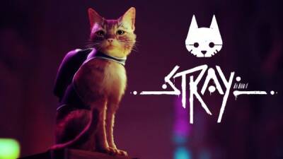 У кота из киберпанкового приключения Stray главная цель - покинуть город роботов - playground.ru