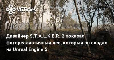 Алексей Рысюк - Дизайнер S.T.A.L.K.E.R. 2 показал фотореалистичный лес, который он создал на Unreal Engine 5 - vgtimes.ru