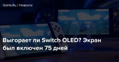 Выгорает ли Switch OLED? Экран был включен 75 дней - goha.ru