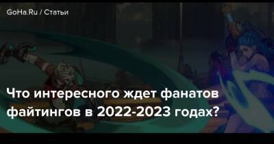 Что интересного ждет фанатов файтингов в 2022-2023 годах? - goha.ru