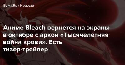 Аниме Bleach вернется на экраны в октябре с аркой «Тысячелетняя война крови». Есть тизер-трейлер - goha.ru