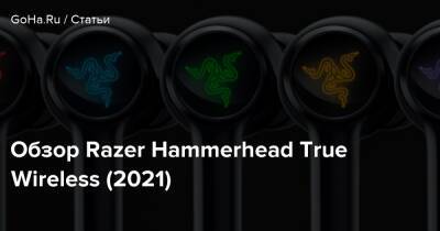 Обзор Razer Hammerhead True Wireless (2021) - goha.ru