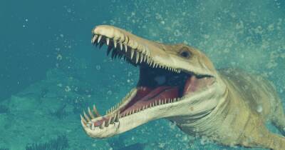 Анонсировано первое DLC для Jurassic World Evolution 2 - cybersport.ru