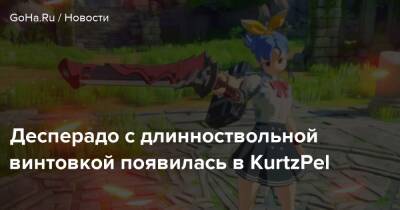 Десперадо с длинноствольной винтовкой появилась в KurtzPel - goha.ru
