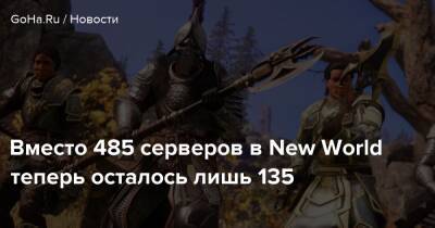 Вместо 485 серверов в New World теперь осталось лишь 135 - goha.ru - Rome