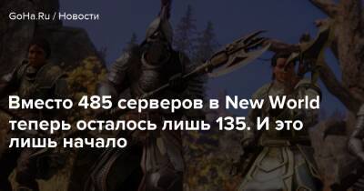 Вместо 485 серверов в New World теперь осталось лишь 135. И это лишь начало - goha.ru - Rome