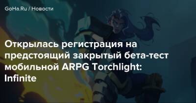 Открылась регистрация на предстоящий закрытый бета-тест мобильной ARPG Torchlight: Infinite - goha.ru