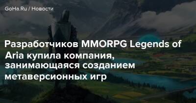 Разработчиков MMORPG Legends of Aria купила компания, занимающаяся созданием метаверсионных игр - goha.ru