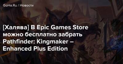 Крис Авеллон - [Халява] В Epic Games Store можно бесплатно забрать Pathfinder: Kingmaker – Enhanced Plus Edition - goha.ru