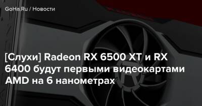 [Слухи] Radeon RX 6500 XT и RX 6400 будут первыми видеокартами AMD на 6 нанометрах - goha.ru