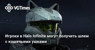 Игроки в Halo Infinite могут получить шлем с кошачьими ушками - vgtimes.ru