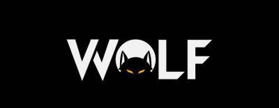 Wolf Team подписала Our Way с hFn, 4dr, tavo и Kingrd - dota2.ru