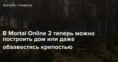 В Mortal Online 2 теперь можно построить дом или даже обзавестись крепостью - goha.ru