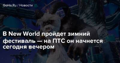 В New World пройдет зимний фестиваль — на ПТС он начнется сегодня вечером - goha.ru