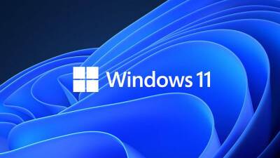Windows 11 опережает Windows 7 по популярности среди пользователей Steam - mmo13.ru