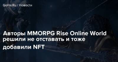 Авторы MMORPG Rise Online World решили не отставать и тоже добавили NFT - goha.ru