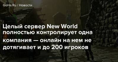 Целый сервер New World полностью контролирует одна компания — онлайн на нем не дотягивает и до 200 игроков - goha.ru - Сша
