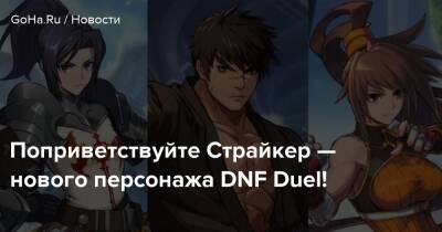 Boku No - Поприветствуйте Страйкер — нового персонажа DNF Duel! - goha.ru - Корея